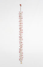 Load image into Gallery viewer, White Red Bell Tota White "30" Small Birds String