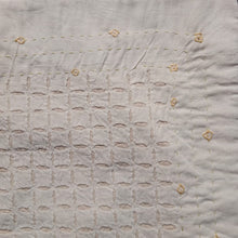 Load image into Gallery viewer, Chhirni Cut Applique on Organdy Cushion Cover (Size-16"X16")